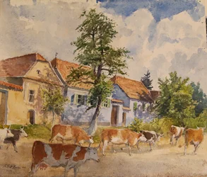 Krowy Viscri House, 2015